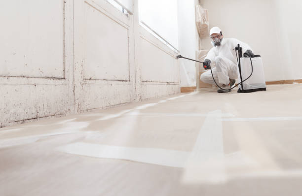 24/7 Emergency Black Mold Remediation experts in Franklin, KY