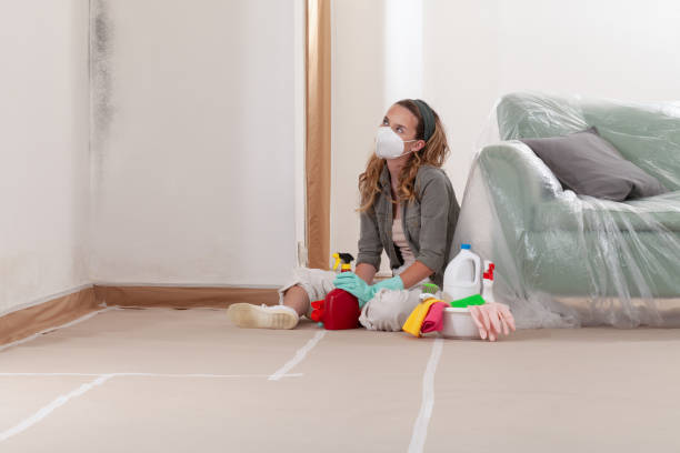 Reliable Black Mold Remediation contractor in Franklin, KY by Mold Remediation HQ
